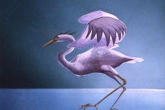 Alighting-Heron