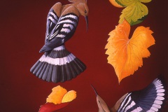 Hoopoes-on-Vine