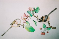 Long-tailed-tits-2
