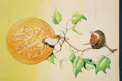 Nesting-birds