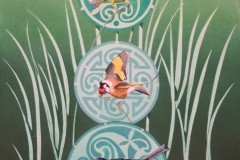 Picture14