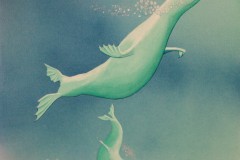 Picture16