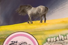 Picture23