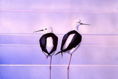 Stilts