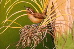 Wren